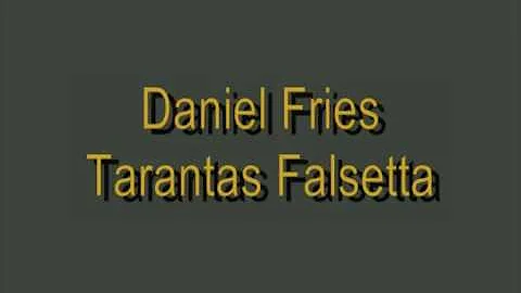 Daniel Fries - Tarantas Falsetta (spanish guitar)