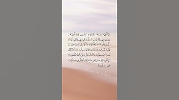 من اجمل التلاوات للآسر #ياسر_الدوسري #قران #اكسبلور #explore #المصحف #تيك_توك #لايك #راحة_نفسية