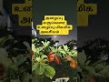 motivation# உண்மை#shortsvideo#👌