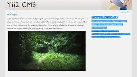 Feature Rundown for the Yii2 CMS system