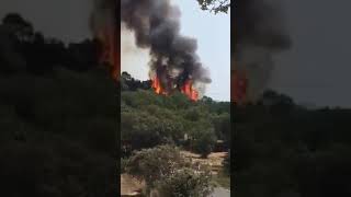 Así trabajan los aviones de extensión de incendio
