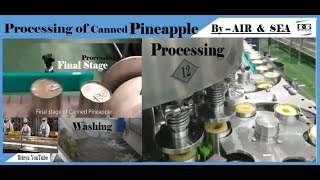 Pineapple Processing