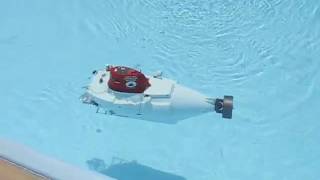 Alvin at the Pool