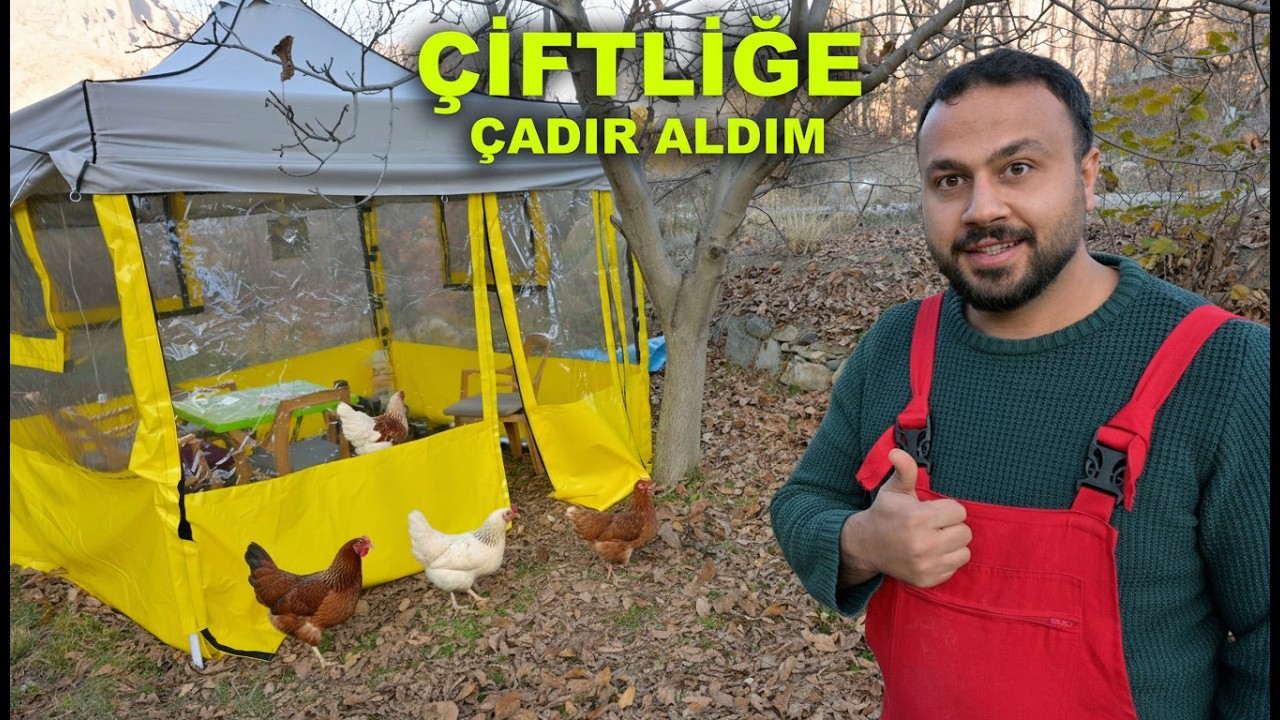 🐕 Köpeğim Sen Ne Yaptın?! 😱 | Çiftlikten Kaçan Horoz 🐓 | Tavuk Sürümüzün Yeni Üyeleri 🐔