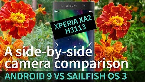 Xperia XA2 Android 9 vs Sailfish OS 3: a side-by-side camera comparison