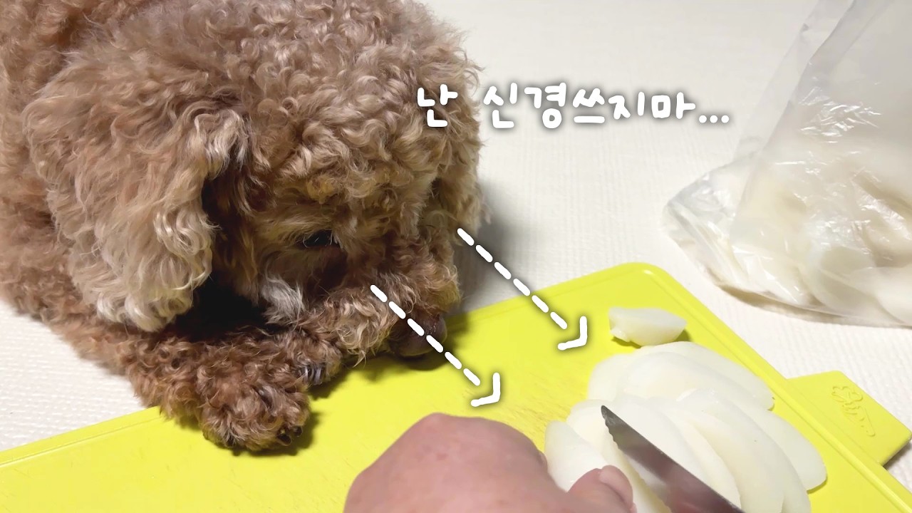 나는 신경 쓰지 말고... 떡 잘라