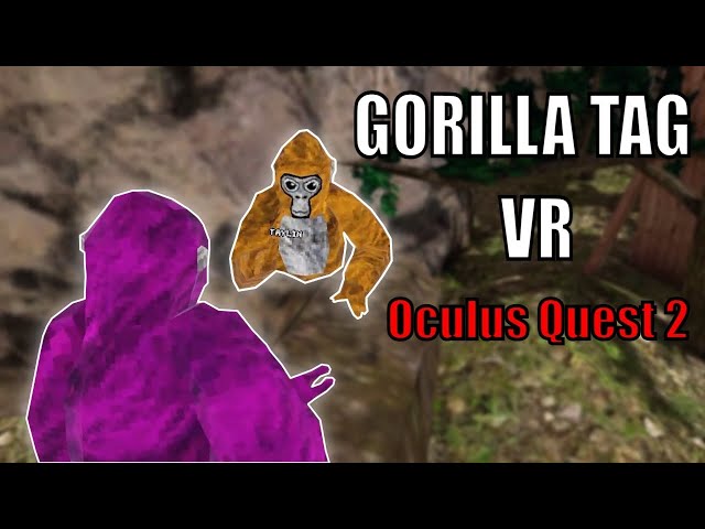 Gorilla Tag review on the Oculus Quest 2 - VRX by VR Expert