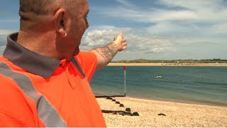 GREAT WHITE SHARK IN THE UK?! screenshot 3