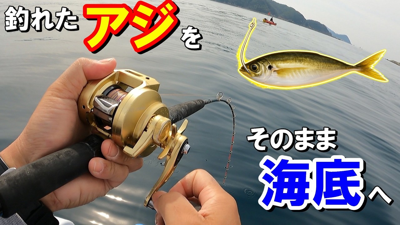 【神展開】生きたアジを泳がせたら竿が刺さるほどの大物が掛かった！！！