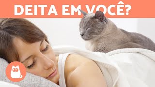 Por que meu gato dorme em cima de mim?