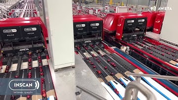 AWETA | Apple sorting & grading line