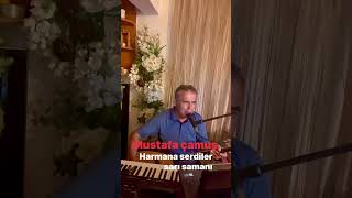 Harmana serdiler Sarı samanı Mustafa çamuş Resimi