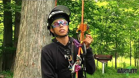 Frog Walker Ascent System