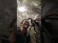Biggest Tarantula in the World | AI-Generated Realistic Spider #spider