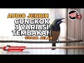 🔴Masteran Cucak Cungkok Gacor Tembakan 3 Variasi ❗️Cungkok Gacor Jernih