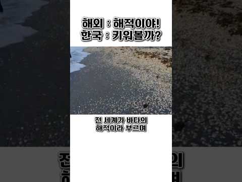 전 세계가 바다의 해적이라 부르며 손도 못 댄 걸 밥상에 올려버린 한국 클라쓰 thumbnail