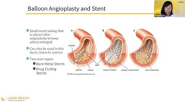 Innovative Solutions Found in Nature with Dr. Fangyuan Tian - CNSM Fellows Colloquium