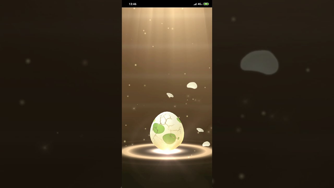 What is in my 2km Egg Hatch? | Pokémon GO