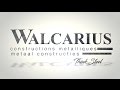 Walcarius  film corporate  fr