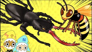【サメニン昆虫知育アニメ】伝説のクワガタクワガタの生態を知ろう