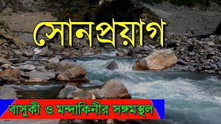 Sonprayag | Kedarnath yatra | Confluence of two holy rivers Basuki and Mandakini