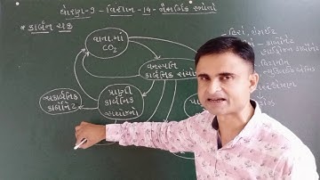 std 9 science ch 14 carbon cycle
