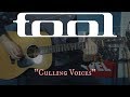 Culling Voices (Acoustic Tool cover)