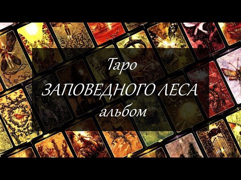 Таро Заповедного леса. Альбом, видео-галерея.