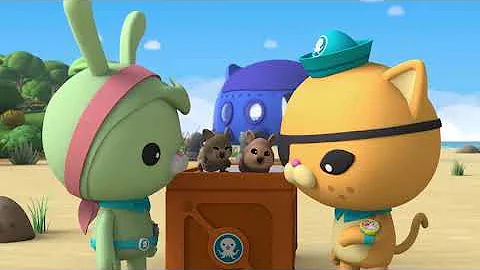 octonauts above and beyond season 5 quokkas English full episode