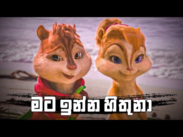 මට ඉන්න හිතුනා | Mata Inna Hithuna | Amandi Sulochana | Alvin And The Chipmunks Version class=