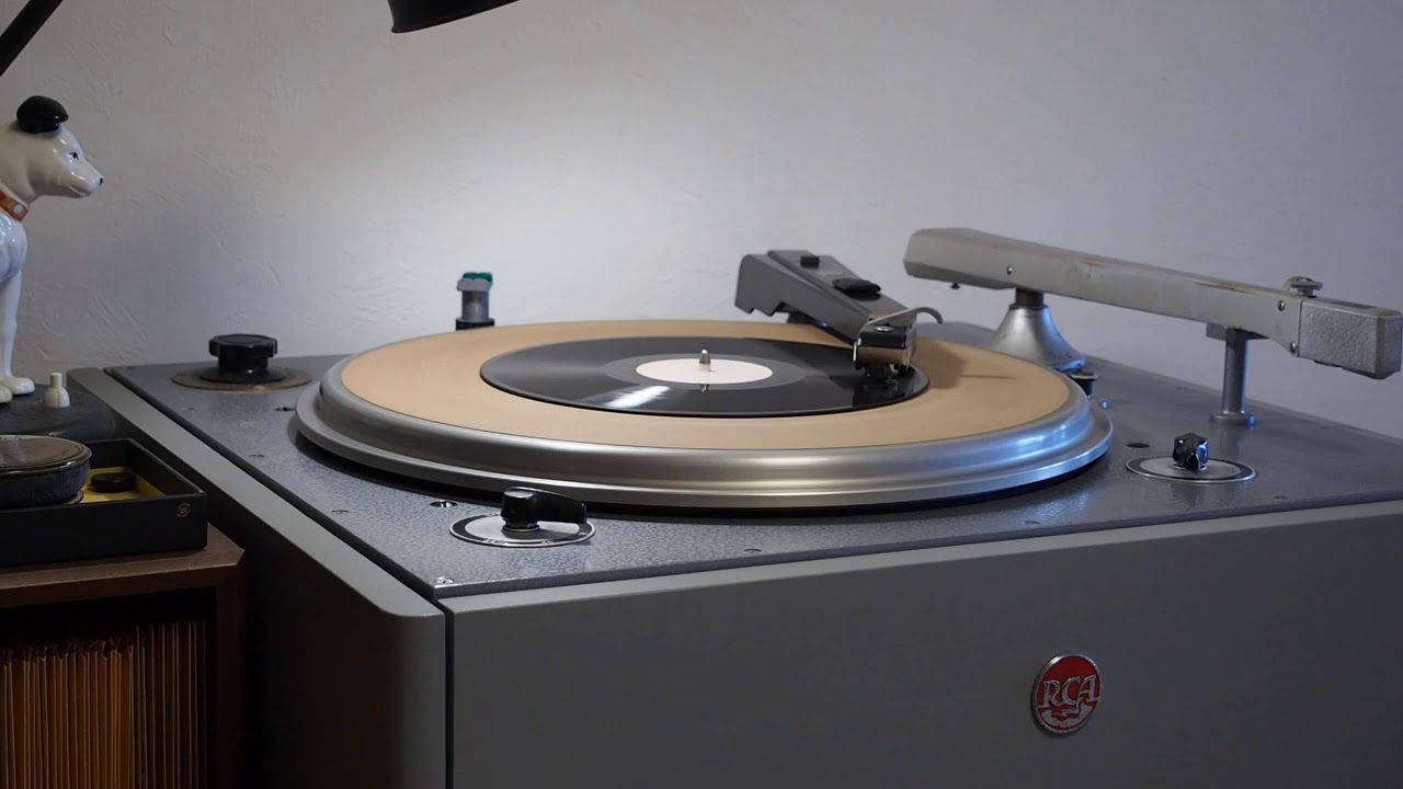 A Fawn / Red Norvo camera iphone 8 plus apk