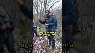 Ağaçlar Neden Yaprak Döker ?