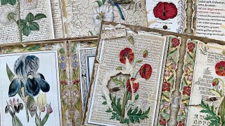 #roxysmedievalmiragemonday DTP | EP 33 Medieval Botanicals | New project Illuminated Botanicals