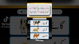 islamic quiz /motivation / Muhammad