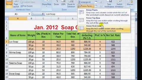 MS Excel 2007 in Hindi Format as Table,Freeze Panes) Part 12