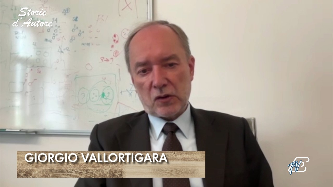 GIORGIO VALLORTIGARA - 09-05-2026