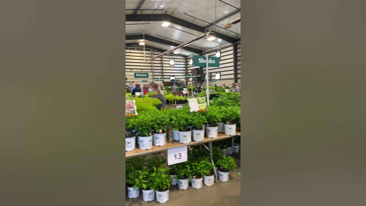 Morton Arboretum Plant Sale Spring 2021 YouTube