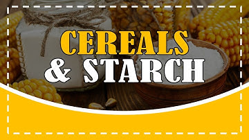 CEREAL AND STARCHES