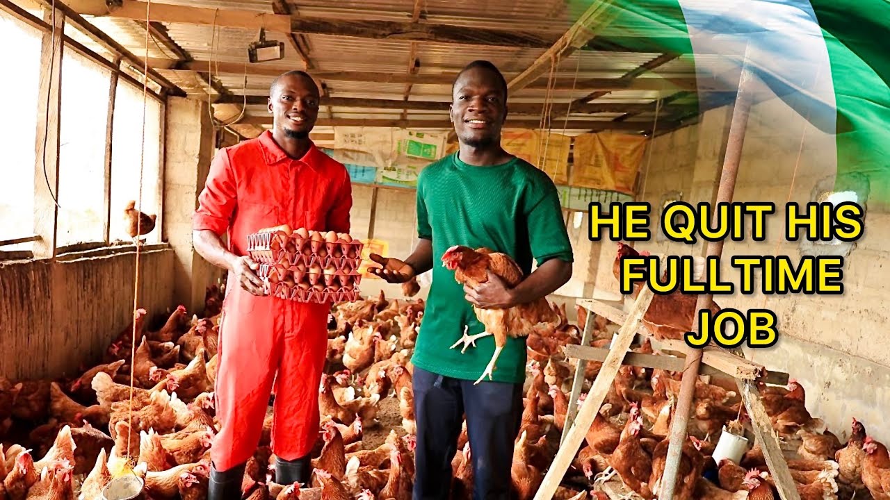 Как он оставил работу в банке, чтобы открыть прибыльную куриную ферму в Нигерии