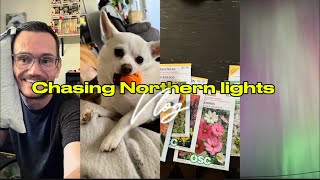 Chasing Northern Lights/ opening a sweet package from @chickensbythelake  /weekly vlog #vlog