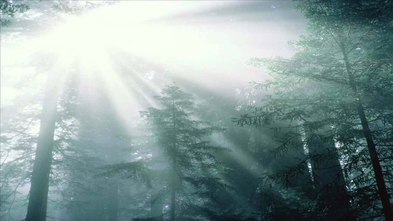 Watch Entities - Desolate Tranquility 2011 on YouTube Watch Entities - Desolate Tranquility 2011 on YouTube