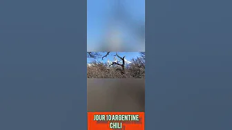 Jour 10 Argentine Chili thumbnail