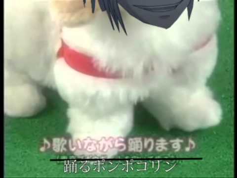 愛犬ロボ「一方通行」