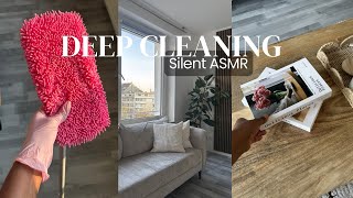 COZY RAIN CLEANING VLOG 🌧️🎀silent ASMR  Living  Room Cleaning & Windows