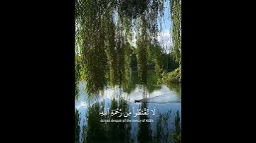 القارئ ياسر الدوسري سورة الزمر