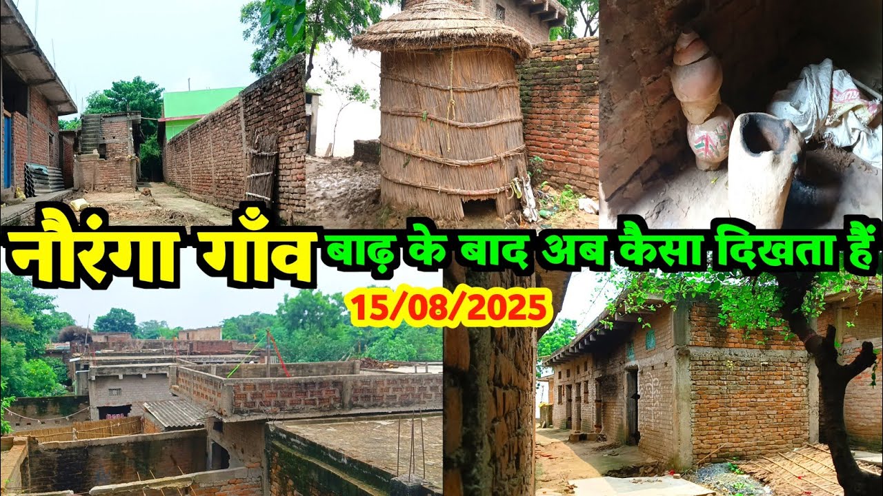 नौरंगा गाँव बाढ़ के बाद अब कैसा दिखता है || 15/07/2025 || Jawainiya Village || Apna Jila Ara