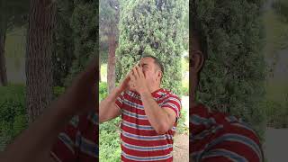 Alergia #estornudo #sneeze #allergies #alergias #humor #humormemes #meme
