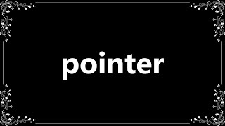 Pointer - Definition and How To Pronounce