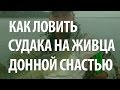 КАК ЛОВИТЬ СУДАКА на ЖИВЦА с БЕРЕГА на ДОНКУ