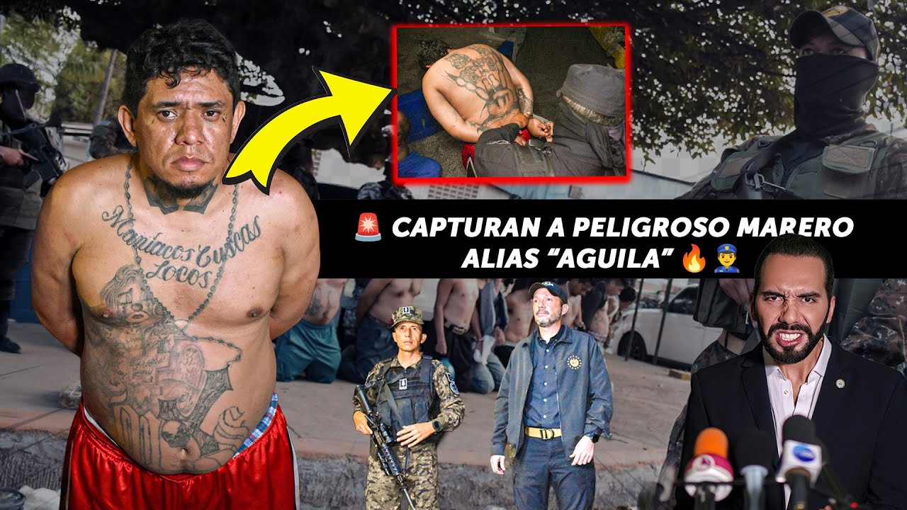 🚨 Capturan a peligroso marero de la MS, señalado como el “AGUILA” 🔥👮‍♂️